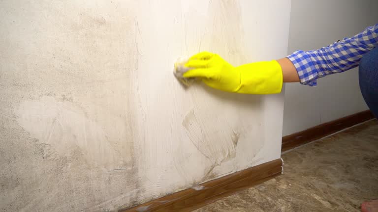 Best Airborne Mold Testing  in Villa Rica, GA